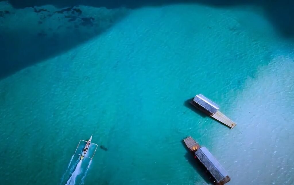 Metro Manila Full-Day Private Marine Life Tour with Transfers