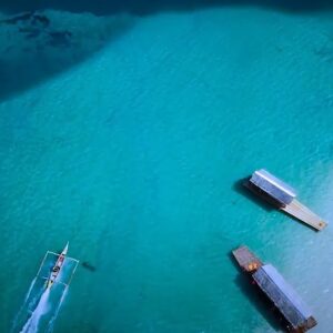 Metro Manila Full-Day Private Marine Life Tour with Transfers